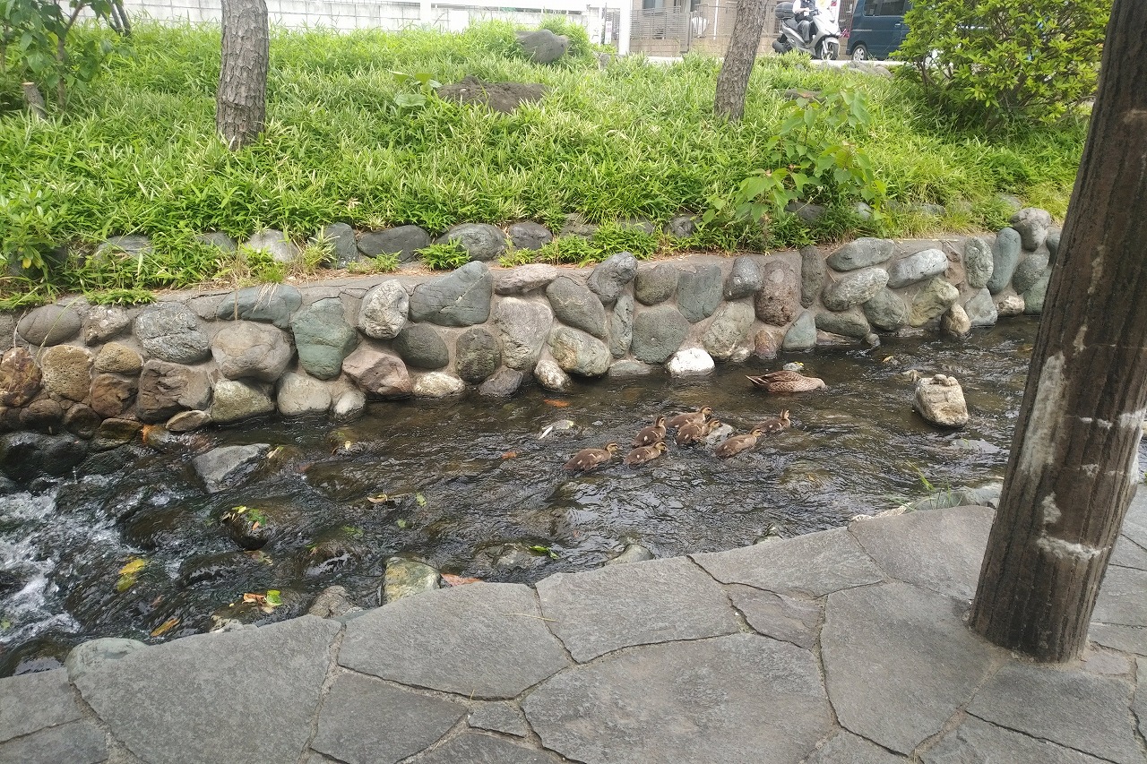 親水公園2