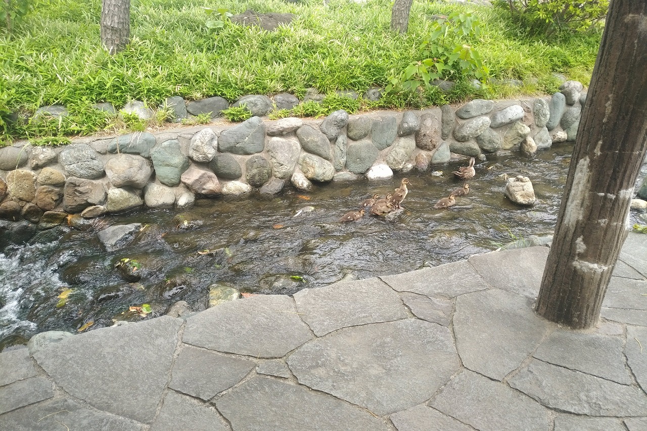 親水公園3