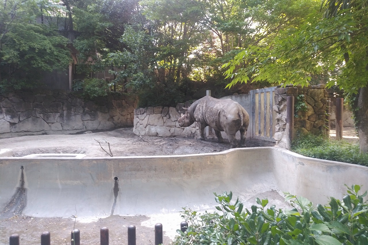 上野動物園3